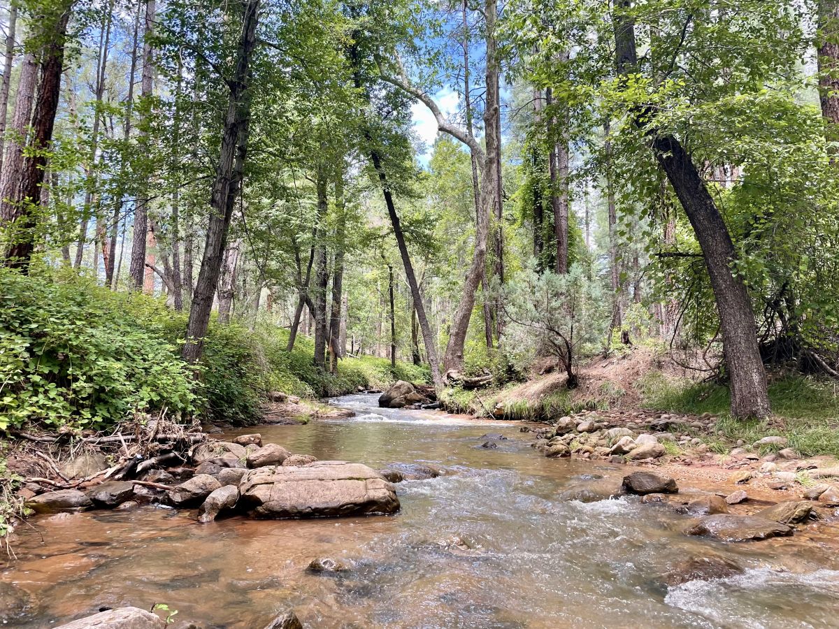 East Verde river going through Verde Glen